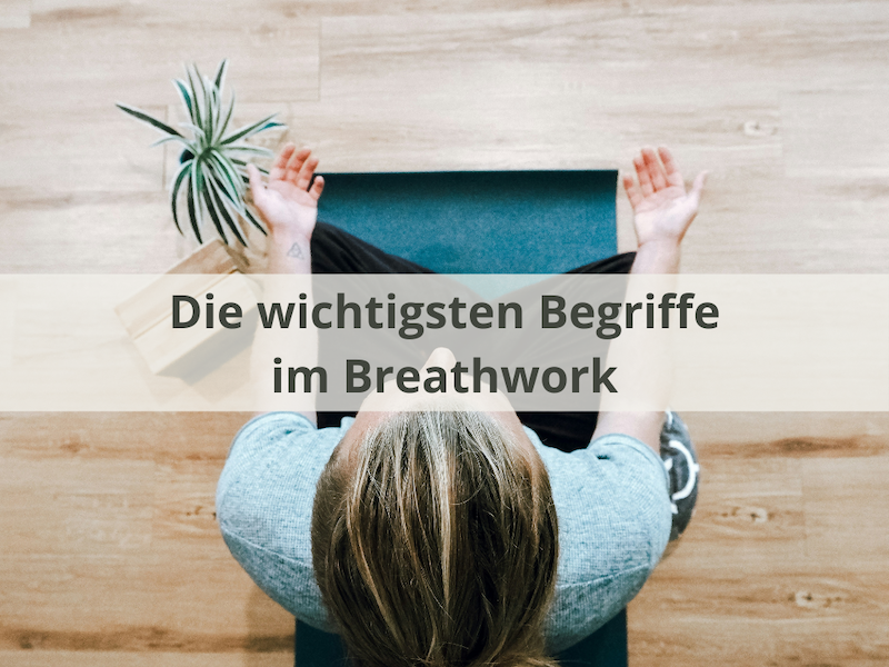 Das Breathwork Lexikon für die wichtigsten Begriffe rund um Breathwork